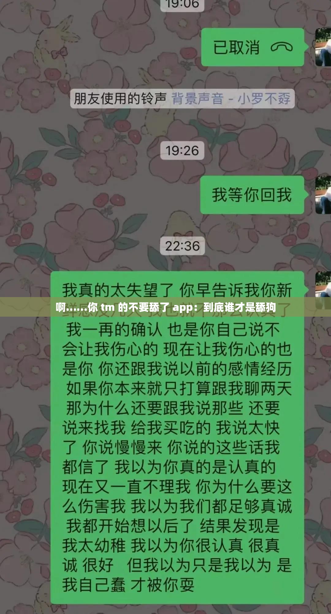 啊……你 tm 的不要舔了 app：到底谁才是舔狗