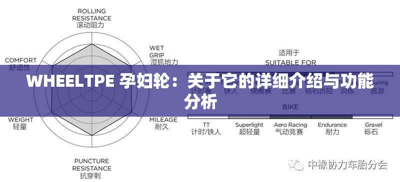 WHEELTPE 孕妇轮：关于它的详细介绍与功能分析