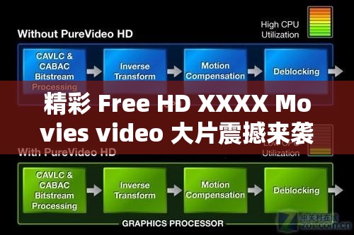 精彩 Free HD XXXX Movies video 大片震撼来袭