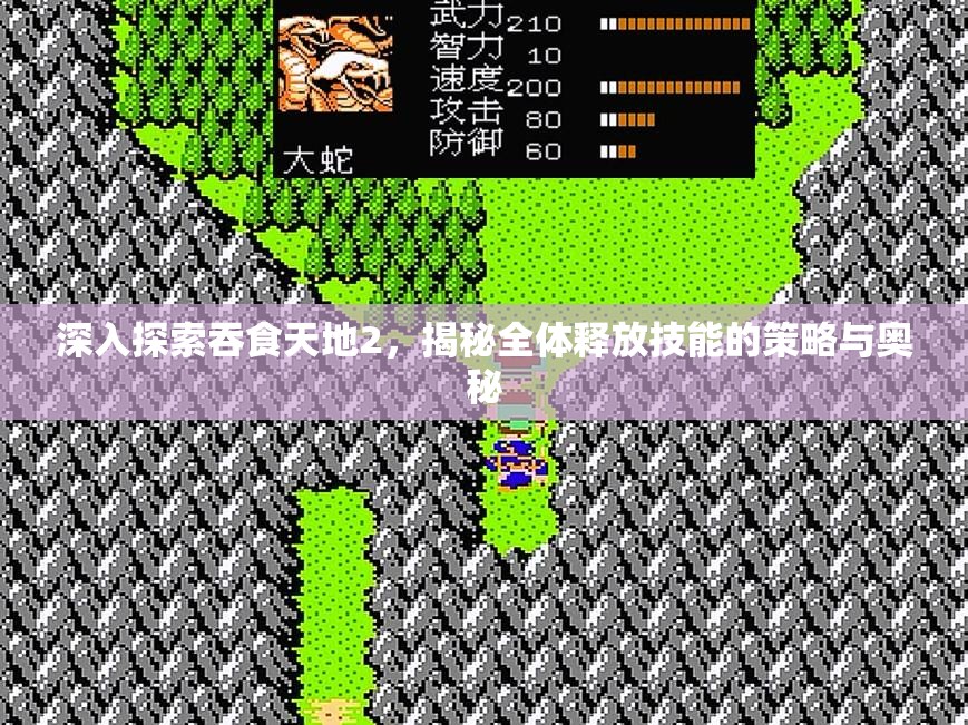 深入探索吞食天地2，揭秘全体释放技能的策略与奥秘