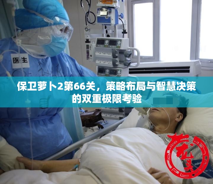 保卫萝卜2第66关，策略布局与智慧决策的双重极限考验