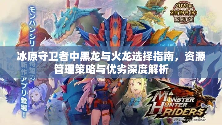 冰原守卫者中黑龙与火龙选择指南，资源管理策略与优劣深度解析