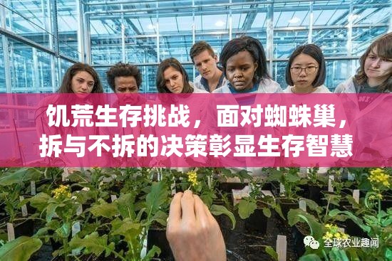 饥荒生存挑战，面对蜘蛛巢，拆与不拆的决策彰显生存智慧较量