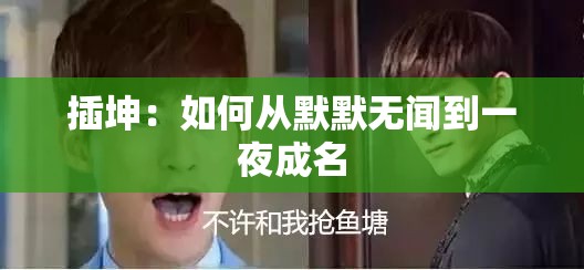 插坤：如何从默默无闻到一夜成名