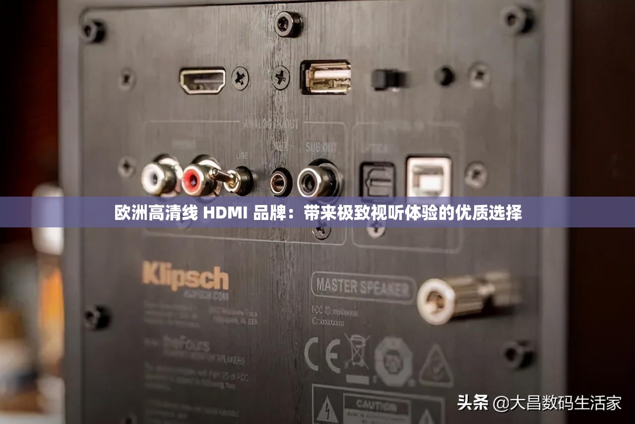 欧洲高清线 HDMI 品牌：带来极致视听体验的优质选择