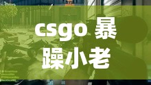 csgo 暴躁小老妹视频-看小老妹如何在游戏中暴躁杀敌