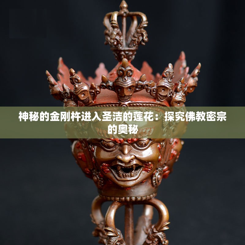 神秘的金刚杵进入圣洁的莲花：探究佛教密宗的奥秘