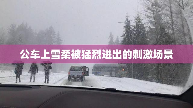 公车上雪柔被猛烈进出的刺激场景