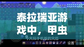 泰拉瑞亚游戏中，甲虫套与叶绿套，究竟哪套才是你的最佳战斗伙伴？