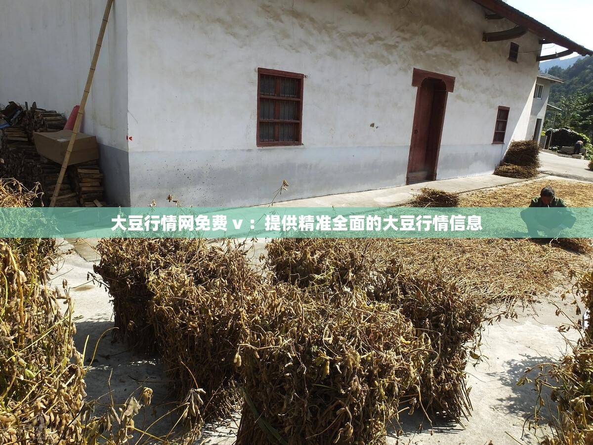 大豆行情网免费 v ：提供精准全面的大豆行情信息