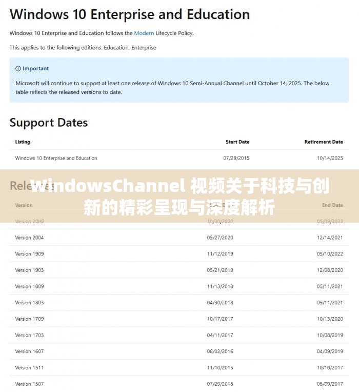 WindowsChannel 视频关于科技与创新的精彩呈现与深度解析