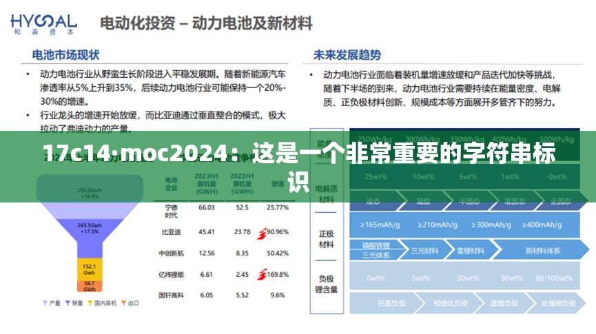 17c14·moc2024：这是一个非常重要的字符串标识