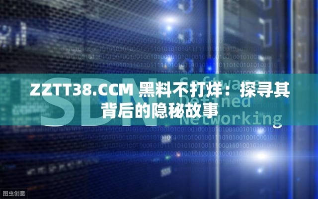 ZZTT38.CCM 黑料不打烊：探寻其背后的隐秘故事