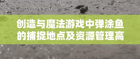 创造与魔法游戏中弹涂鱼的捕捉地点及资源管理高效利用与避免浪费策略