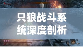 只狼战斗系统深度剖析与打法技巧，从资源管理视角探索战斗艺术的奥秘