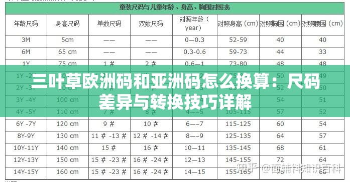 三叶草欧洲码和亚洲码怎么换算：尺码差异与转换技巧详解