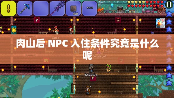 肉山后 NPC 入住条件究竟是什么呢