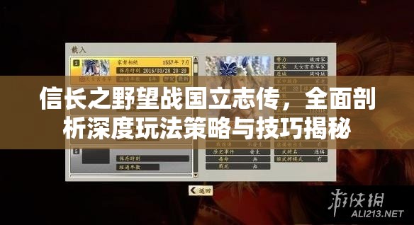 信长之野望战国立志传，全面剖析深度玩法策略与技巧揭秘