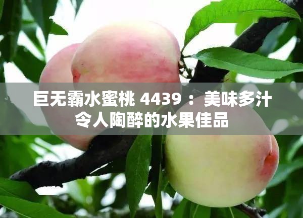 巨无霸水蜜桃 4439 ：美味多汁令人陶醉的水果佳品