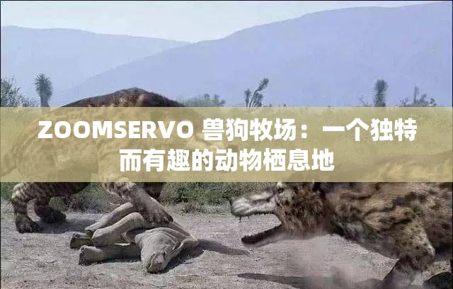 ZOOMSERVO 兽狗牧场：一个独特而有趣的动物栖息地