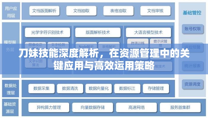 刀妹技能深度解析，在资源管理中的关键应用与高效运用策略