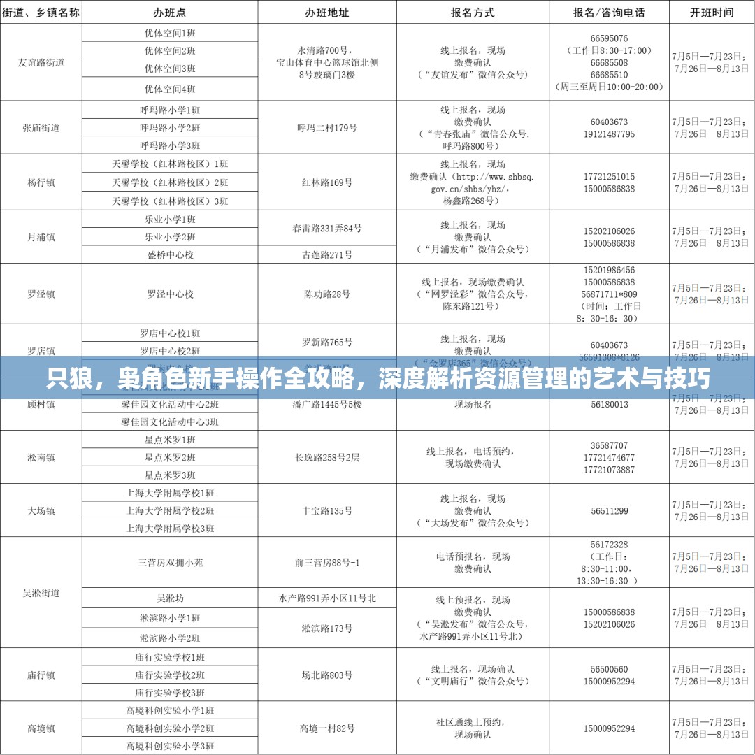 只狼，枭角色新手操作全攻略，深度解析资源管理的艺术与技巧