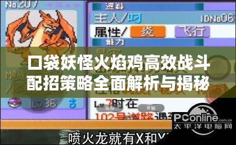 口袋妖怪火焰鸡高效战斗配招策略全面解析与揭秘