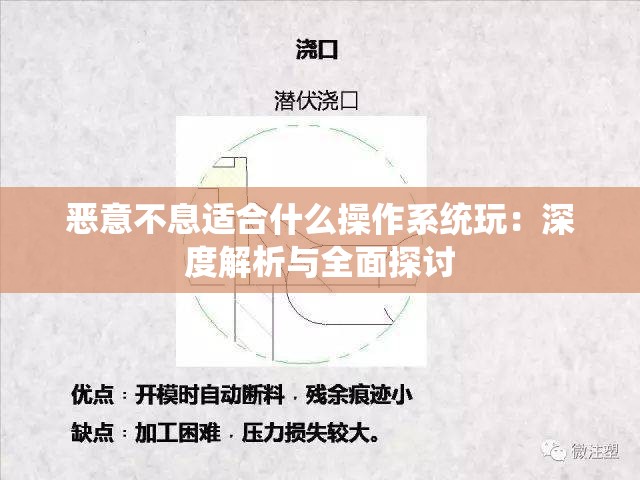 恶意不息适合什么操作系统玩：深度解析与全面探讨