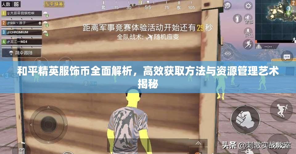 和平精英服饰币全面解析，高效获取方法与资源管理艺术揭秘