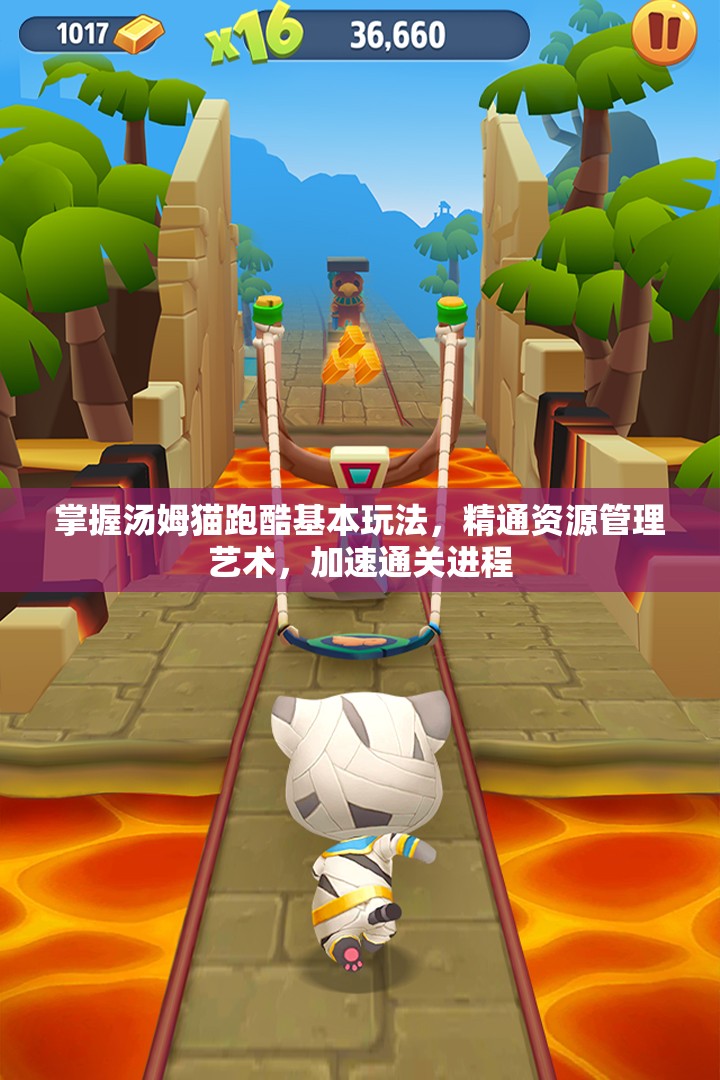 掌握汤姆猫跑酷基本玩法，精通资源管理艺术，加速通关进程
