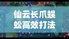 仙云长爪蜈蚣高效打法揭秘，资源管理在快速击杀攻略中的核心作用与运用技巧