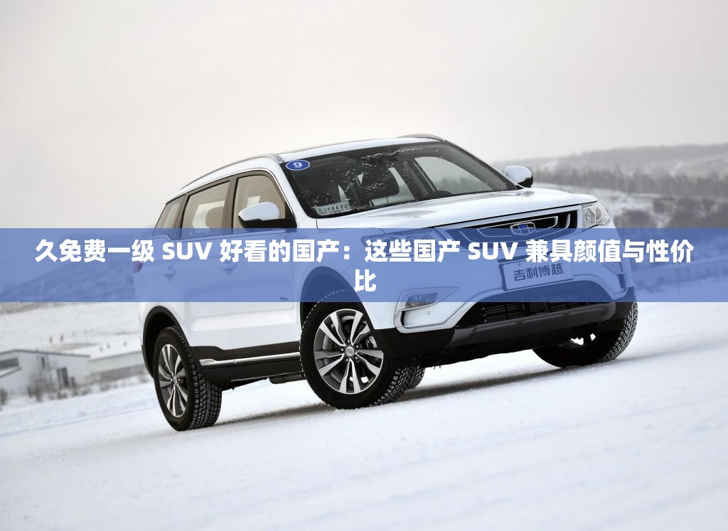 久免费一级 SUV 好看的国产：这些国产 SUV 兼具颜值与性价比