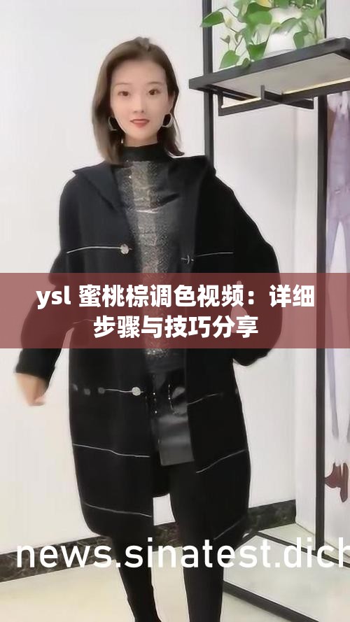 ysl 蜜桃棕调色视频：详细步骤与技巧分享