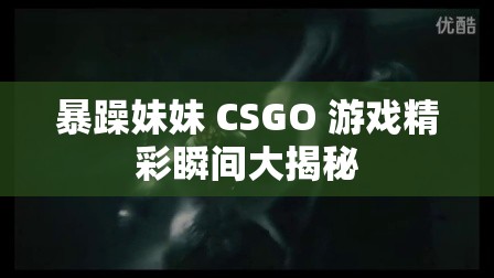暴躁妹妹 CSGO 游戏精彩瞬间大揭秘