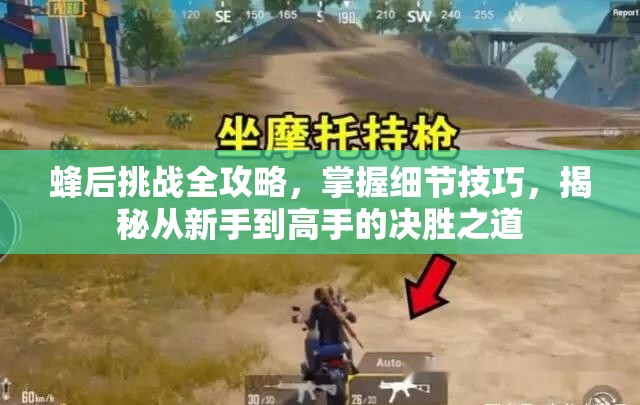 蜂后挑战全攻略，掌握细节技巧，揭秘从新手到高手的决胜之道