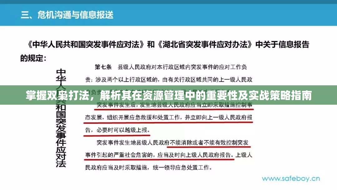 掌握双枭打法，解析其在资源管理中的重要性及实战策略指南