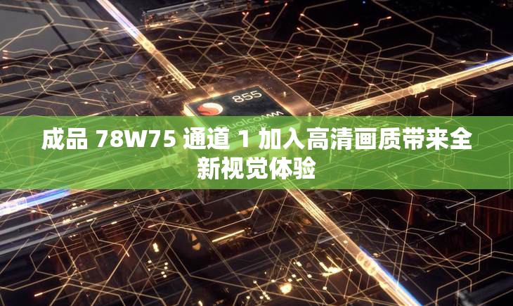 成品 78W75 通道 1 加入高清画质带来全新视觉体验