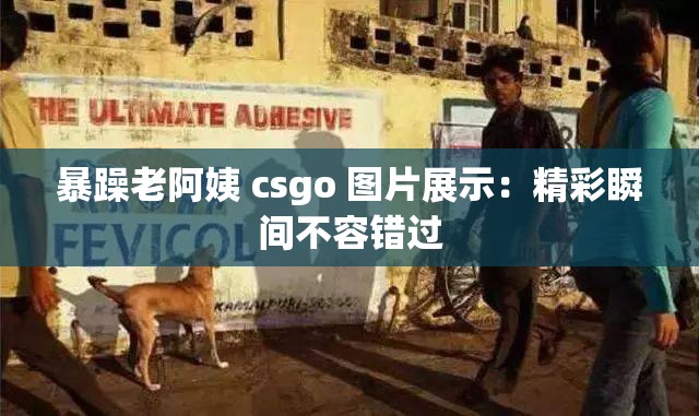 暴躁老阿姨 csgo 图片展示：精彩瞬间不容错过