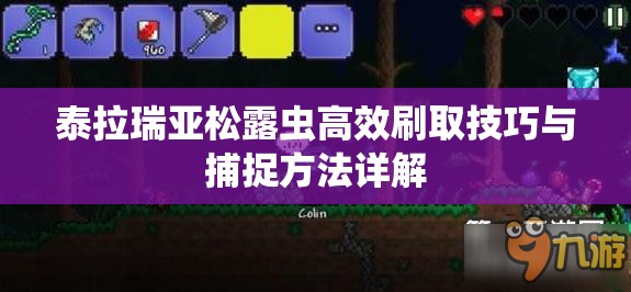 泰拉瑞亚松露虫高效刷取技巧与捕捉方法详解