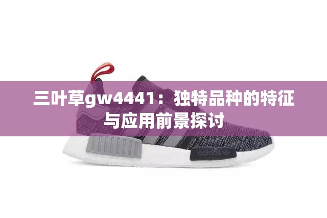 三叶草gw4441：独特品种的特征与应用前景探讨