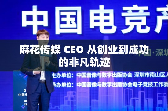 麻花传媒 CEO 从创业到成功的非凡轨迹