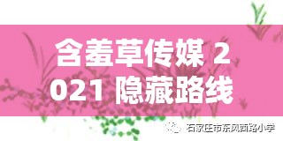 含羞草传媒 2021 隐藏路线免费观看无限制畅享精彩内容