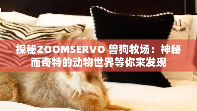 探秘ZOOMSERVO 兽狗牧场：神秘而奇特的动物世界等你来发现