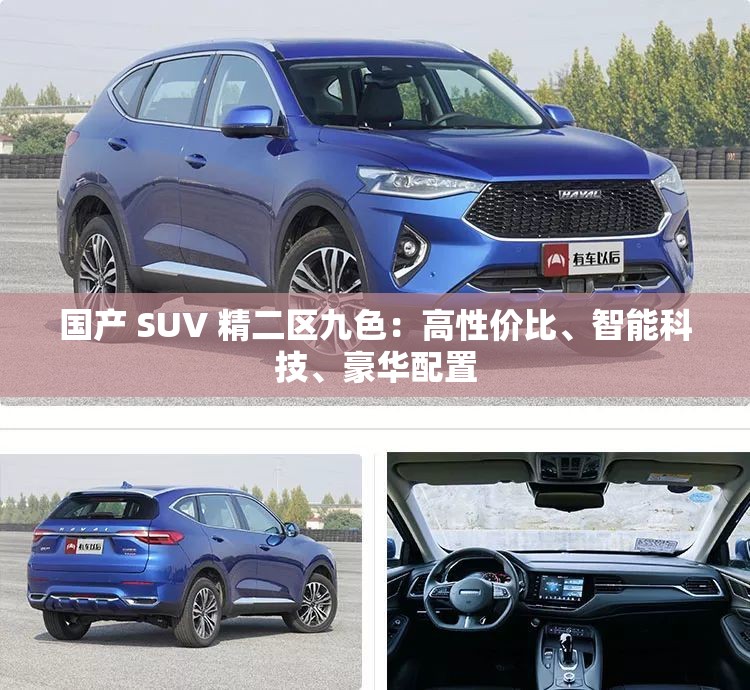 国产 SUV 精二区九色：高性价比、智能科技、豪华配置