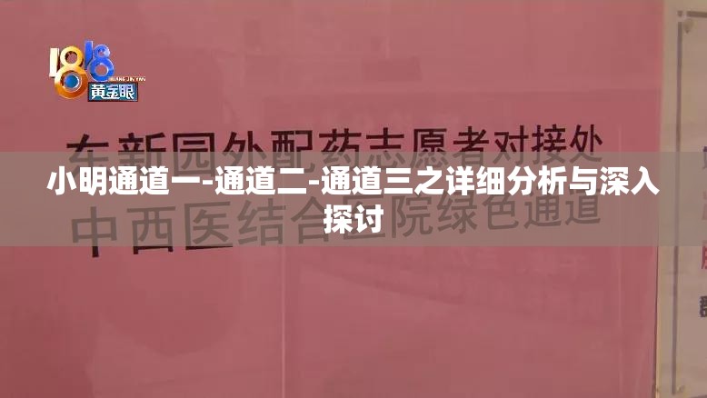 小明通道一-通道二-通道三之详细分析与深入探讨