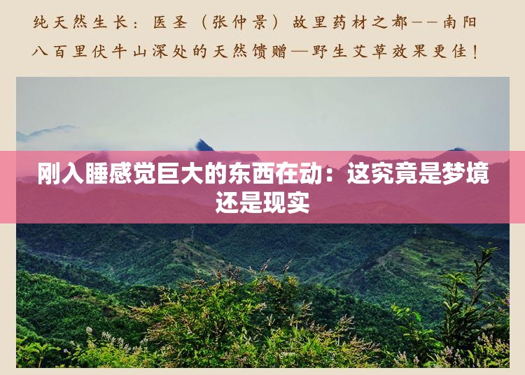 刚入睡感觉巨大的东西在动：这究竟是梦境还是现实