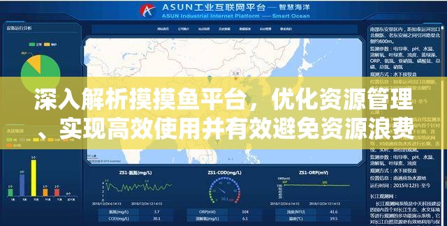 深入解析摸摸鱼平台，优化资源管理、实现高效使用并有效避免资源浪费策略