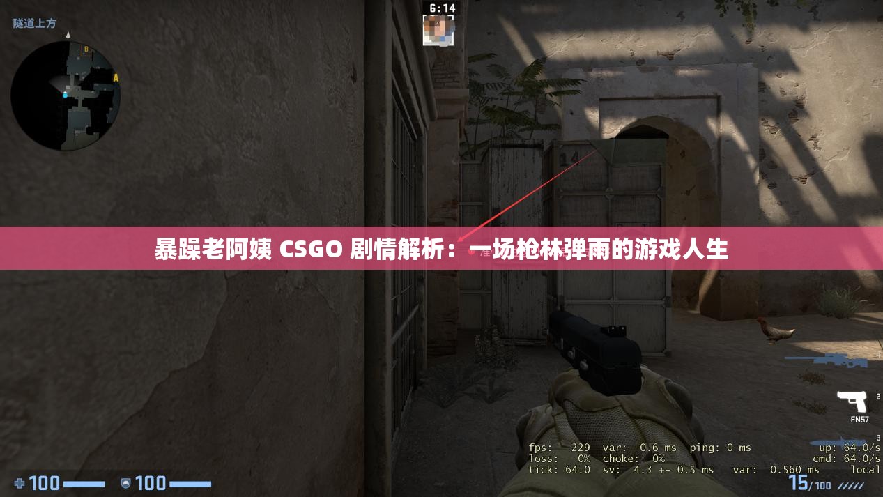 暴躁老阿姨 CSGO 剧情解析：一场枪林弹雨的游戏人生