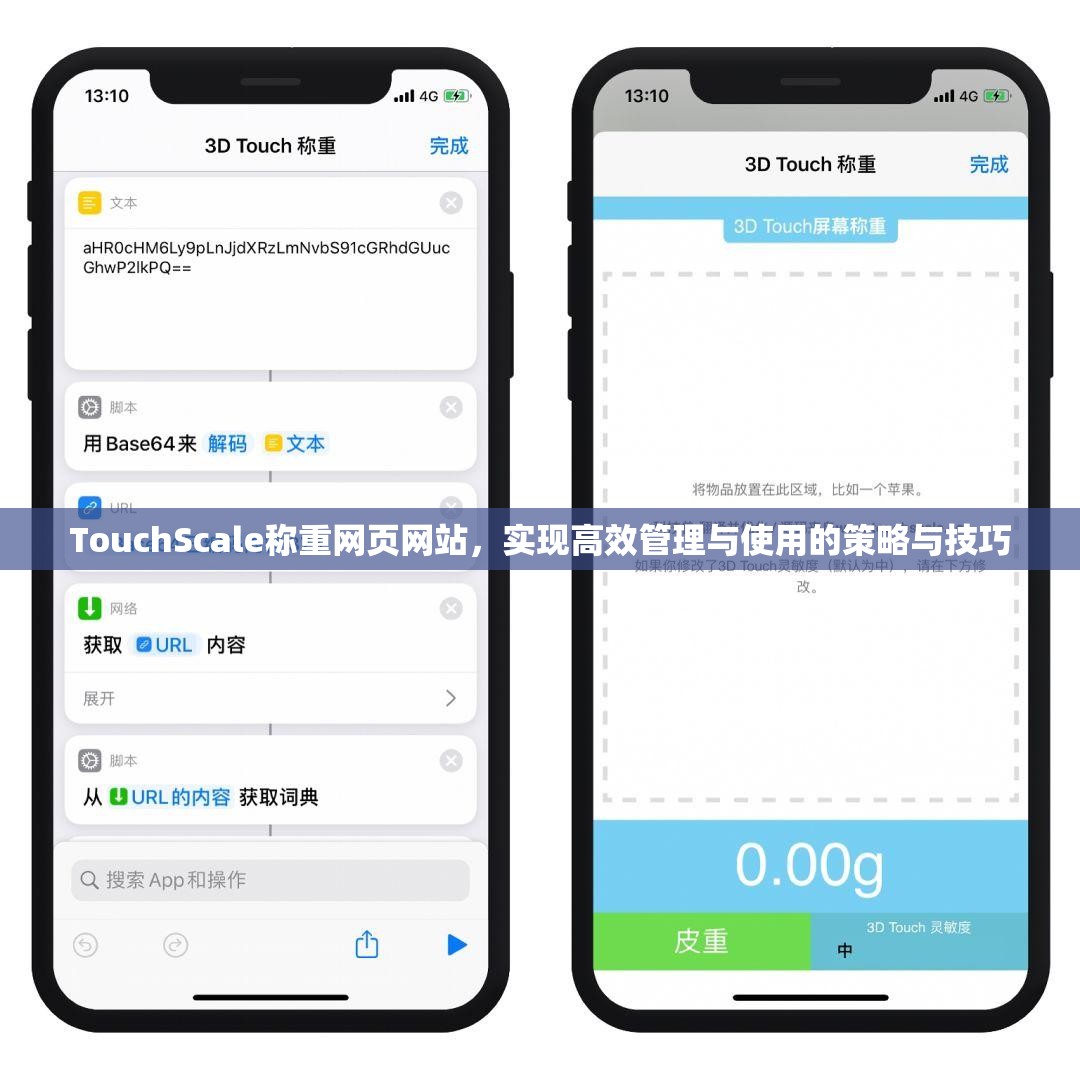 TouchScale称重网页网站，实现高效管理与使用的策略与技巧
