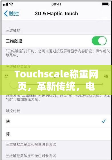 Touchscale称重网页，革新传统，电子屏幕称带来的新奇互动体验